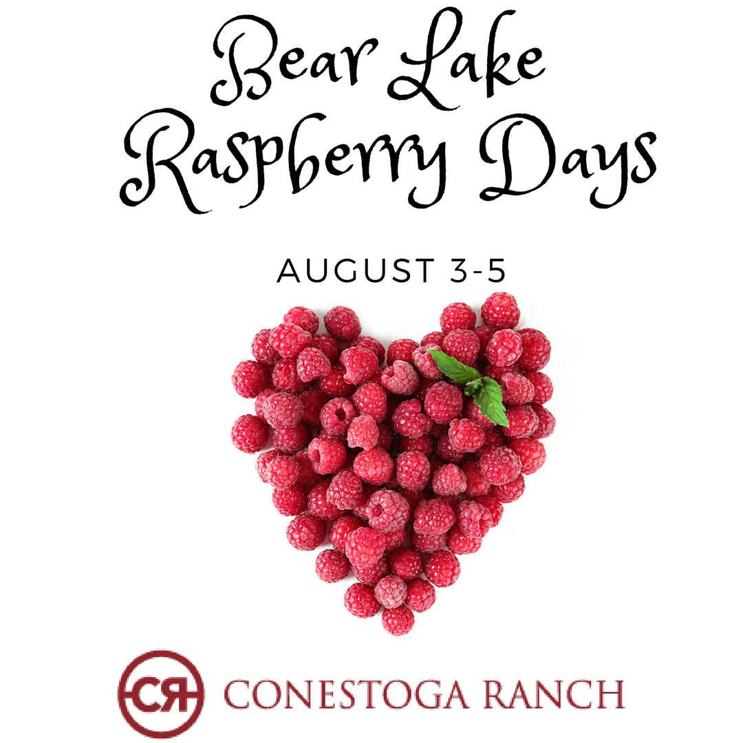 Campfire Grill (CampfireGrillCR) Twitter