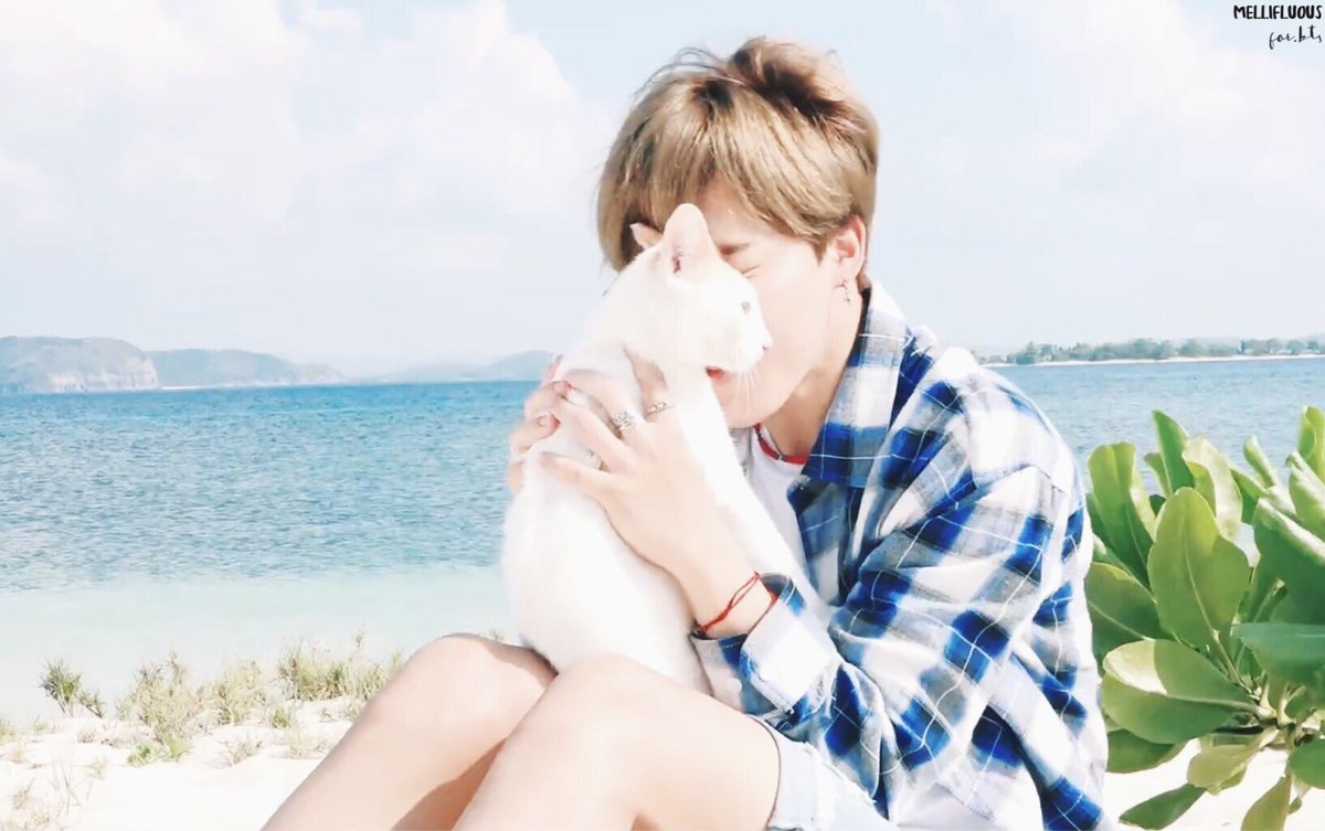 _mellifluousbts's tweet image. SUMMER PACKAGE 2017 

&amp;lt; imgur.com/a/scJa8 &amp;gt;

#BTS #JIMIN #방탄소년단 #지민