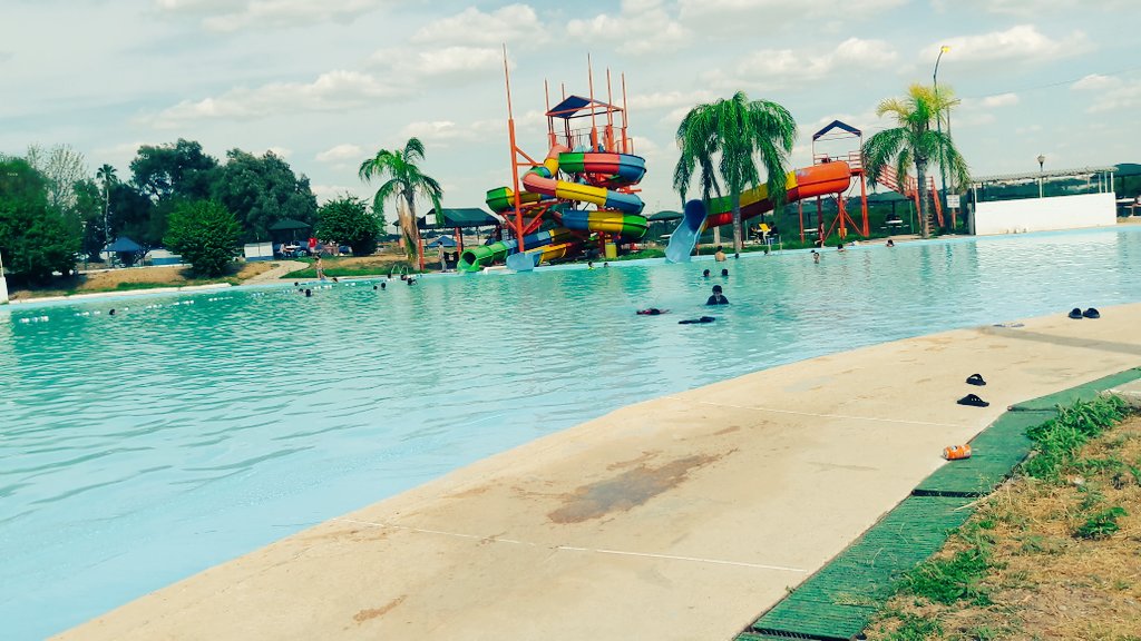 AMY997's tweet image. Alberca con la familoa