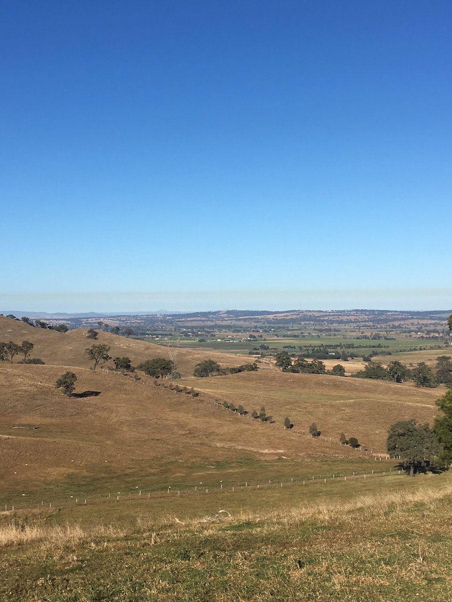 amwfarming's tweet photo. Lovely morning for some #powerstation #inversionlayer #agchatoz #huntervalley https://t.co/MgmZZsrgUw