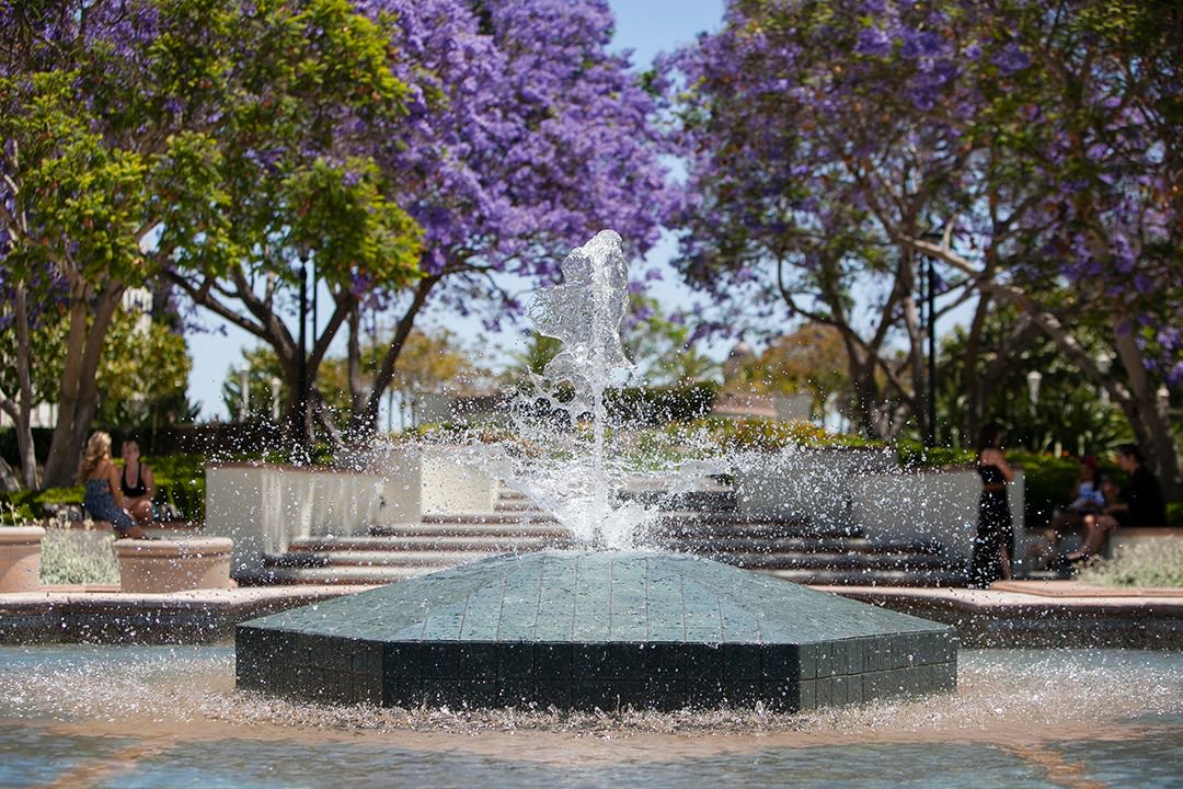 uofsandiego's tweet photo. .@ThePrincetonRev named @uofsandiego as the nation's most beautiful campus! 
https://t.co/OoOVp05HTT #SceneatUSD https://t.co/E24T9rFXgU