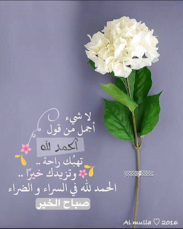 الحمدلله دائما وأبدا 🍃
#قروب_راشد_للدعم
 #قروب_بنت_الشيوخ
 #قروب_البدر_للدعم
 #قروب_العجمي_للدعم