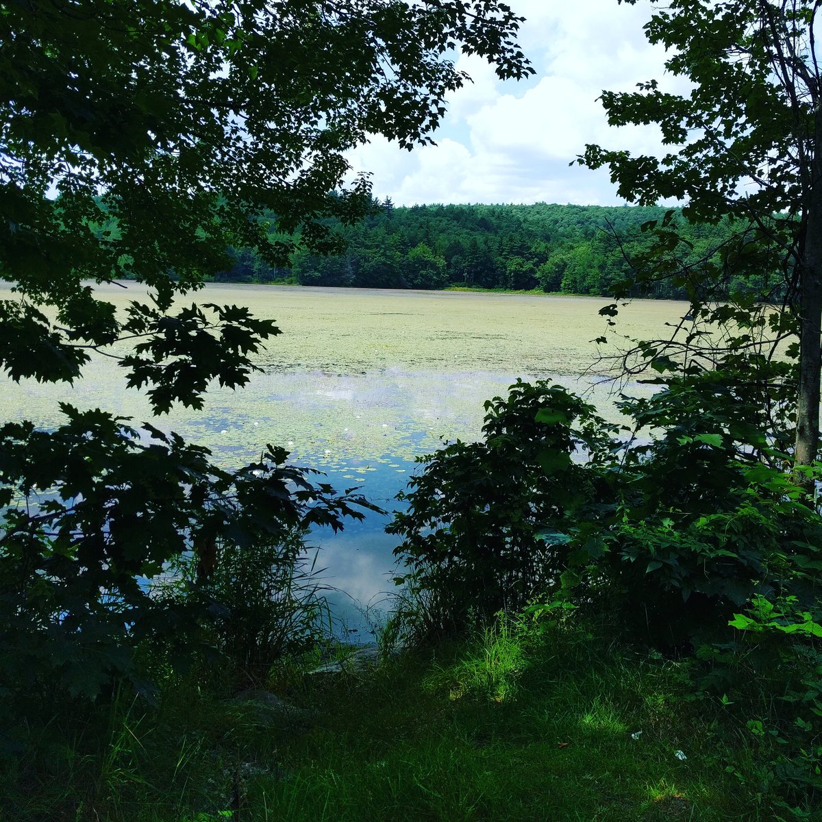 NoraBean25's tweet image. Perfect place to read 😍 #readinginnature