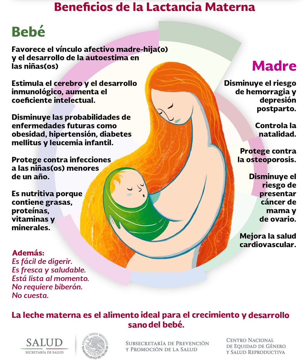 SSalud_mx's tweet photo. En los primeros 6 meses de vida, la #LecheMaterna aporta todos los nutrientes que el bebé necesita #SemanaMundialDeLaLactanciaMaterna https://t.co/rMXbROS6Ln