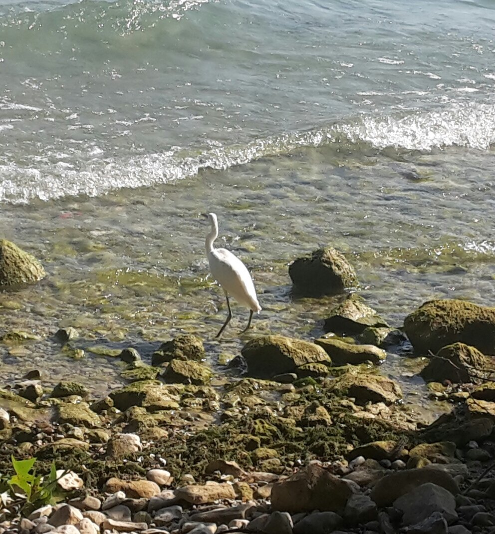 agobolly's tweet image. 