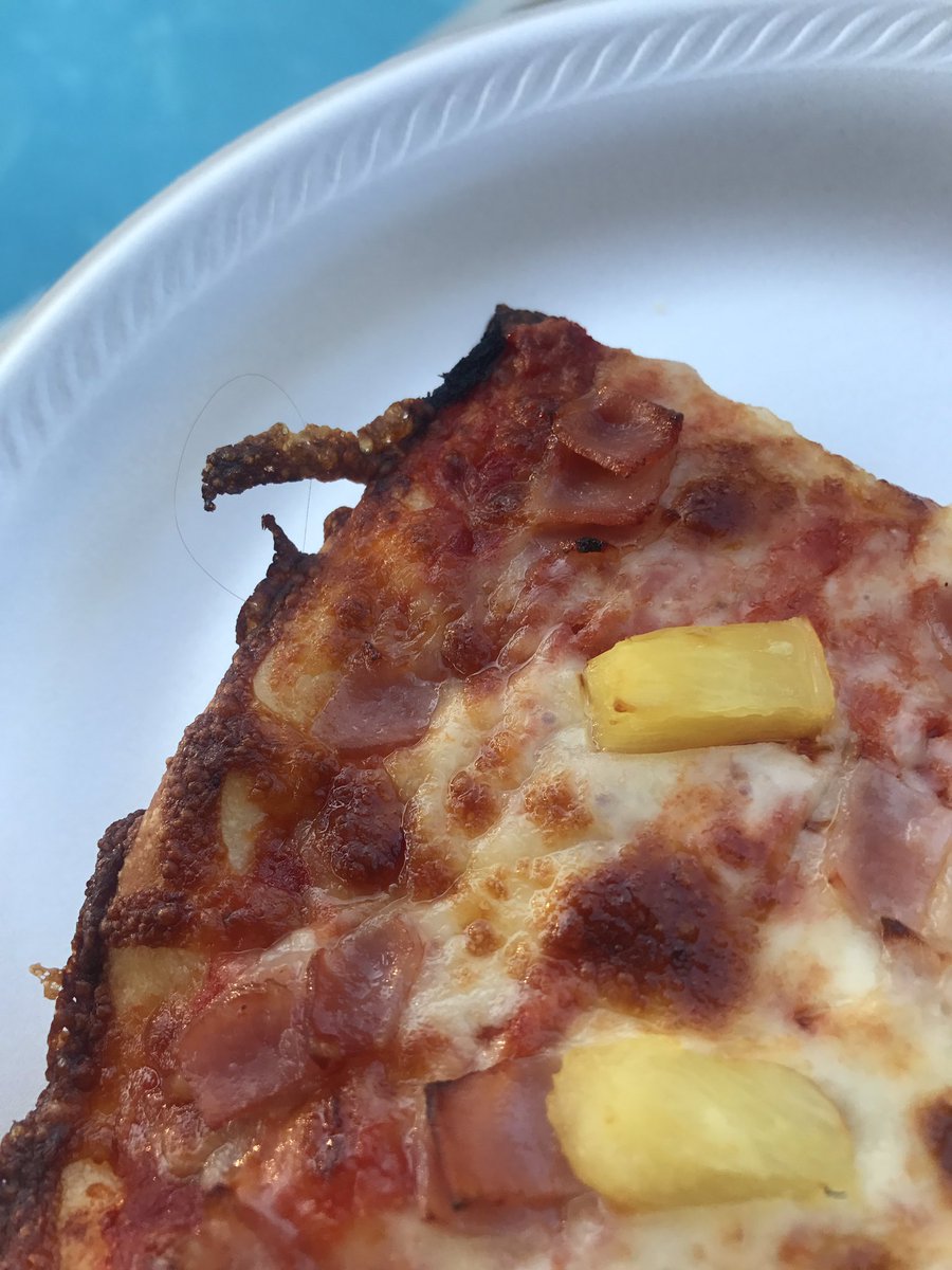 Just want everyone to see the pizza we received from @gioninos in Lexington with hair baked into it...... is it a pube?? Retweet if yes