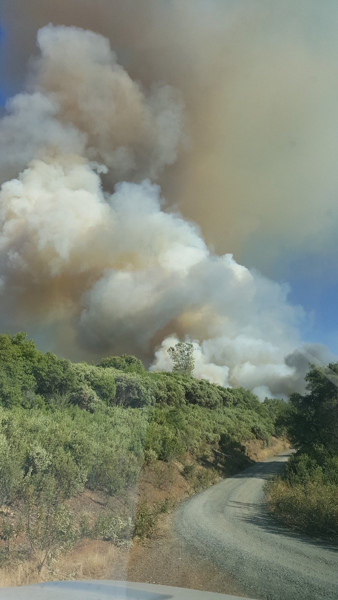 CALFIRETCU's tweet photo. #TwistFire is 80% contained at 124 acres.
#CALFIREservingCA
#Teamwork
Road closures remain in effect. Locals access only. https://t.co/8brbMGtsMg