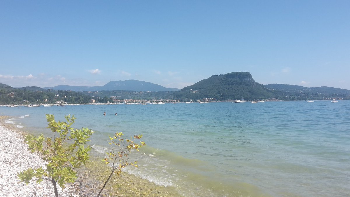 agobolly's tweet image. 