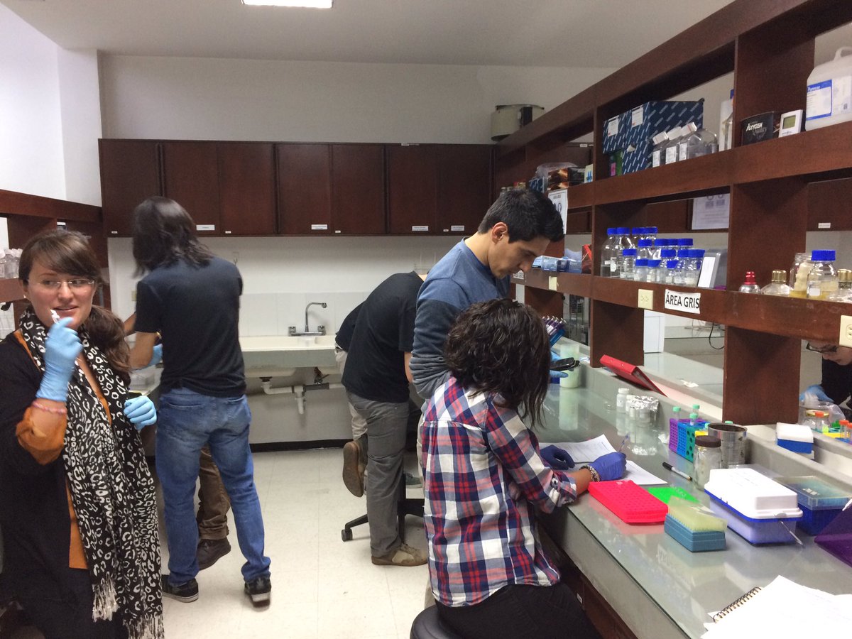patitepui's tweet photo. Day 2 of RADseq workshop: labwork!! Training the future generation of genomics researchers in latinamerica #latinherps @frogsicles https://t.co/5neTLS39v7