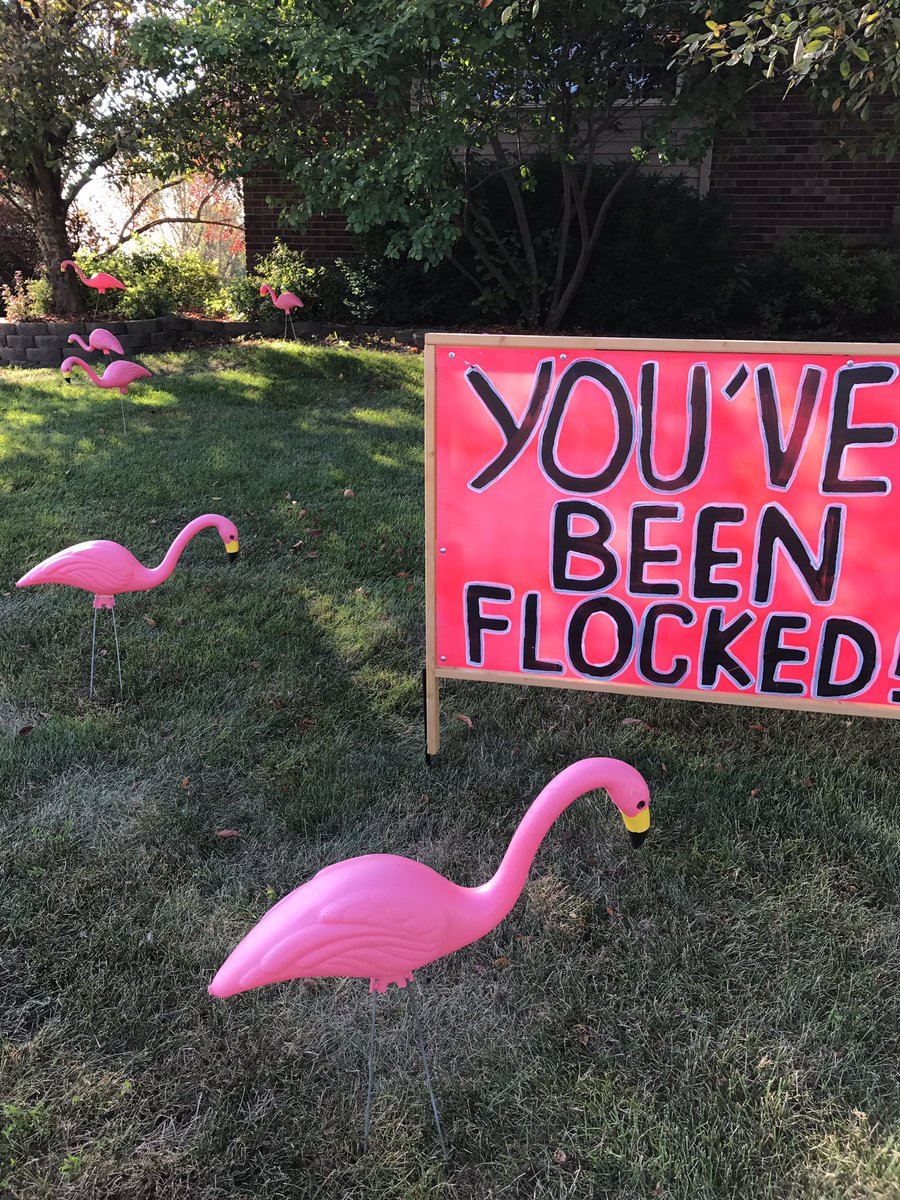 LTLions's tweet photo. Let the Flocking begin! #LadyLionsVolleyball #flockingfundraiser #WeAreLT @LTLadyLionVB https://t.co/f7ZJm6g51P