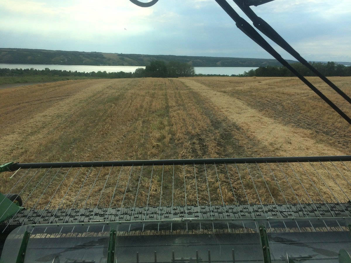 sjkfarms's tweet photo. Guess I'm starting my rodeo early this year https://t.co/iWSza19TAO