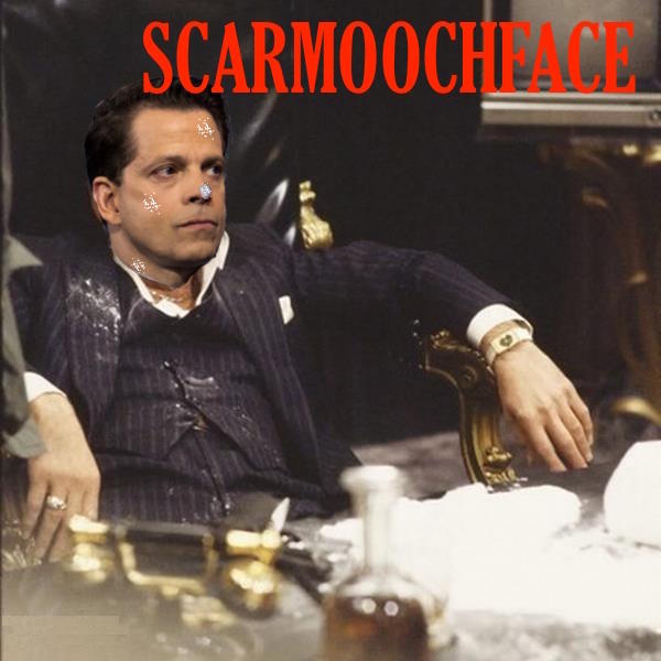 MaoZeTrump's tweet photo. While the media goes nuts, #Scarmucci at home on Friday night...  #trump #funny #politicalhumor #politics https://t.co/RNaqxKgnab