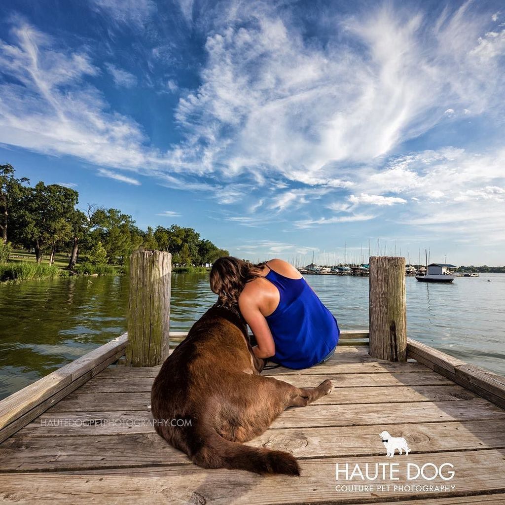 hautedogphotos's tweet photo. No better way to spend the day than at the lake with your best friend. 🔸
#whiterocklake #girlsbestfriend #labsofin… https://t.co/egKxpx8xBU https://t.co/8S0sqZMoT5