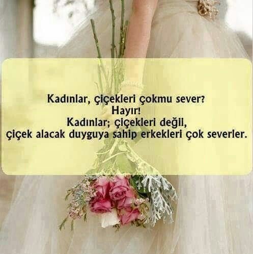 Mr.Exotic (@MrExoticAdam) | Twitter