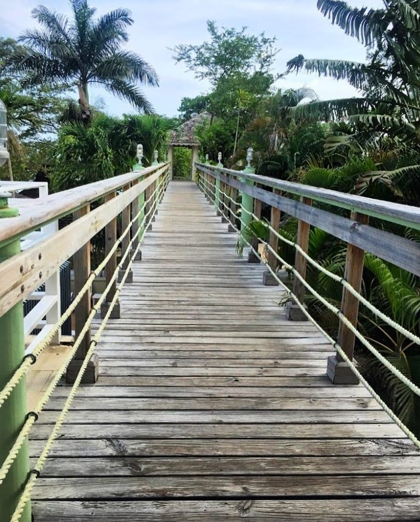 Follow this path to freedom 👣 #Jamaica #clothingoptional #pathway #hedonism2 #negril ift.tt/2vqQJJs