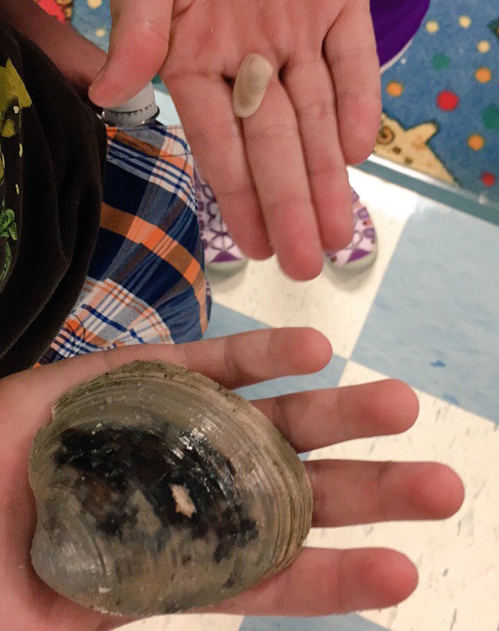 When teachers go to the beach, they bring back gifts 🐚🌴☺️