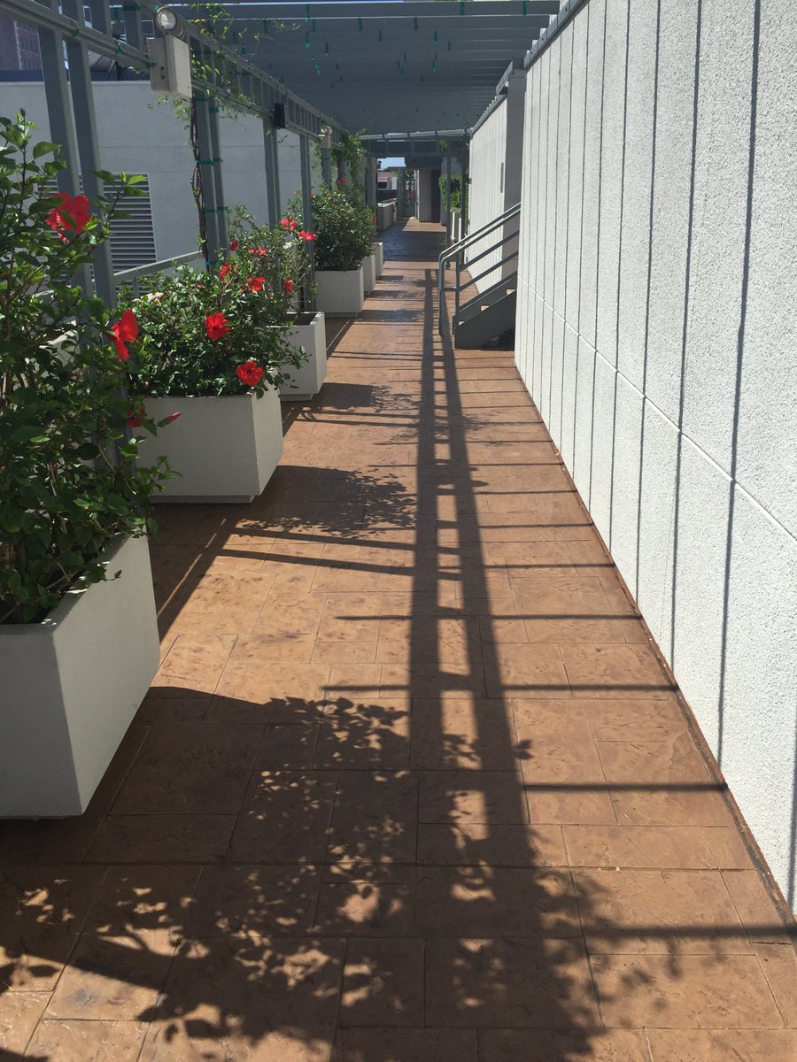 PliDek's tweet photo. Pli-Dek Stamp Mix applied by Art Deck (Roberto Ruiz, Sergio Salazar, and Team) out in Long Beach!!! #PliDek #LongBeach #SoCal #Waterproofing https://t.co/DhkSNowN2S