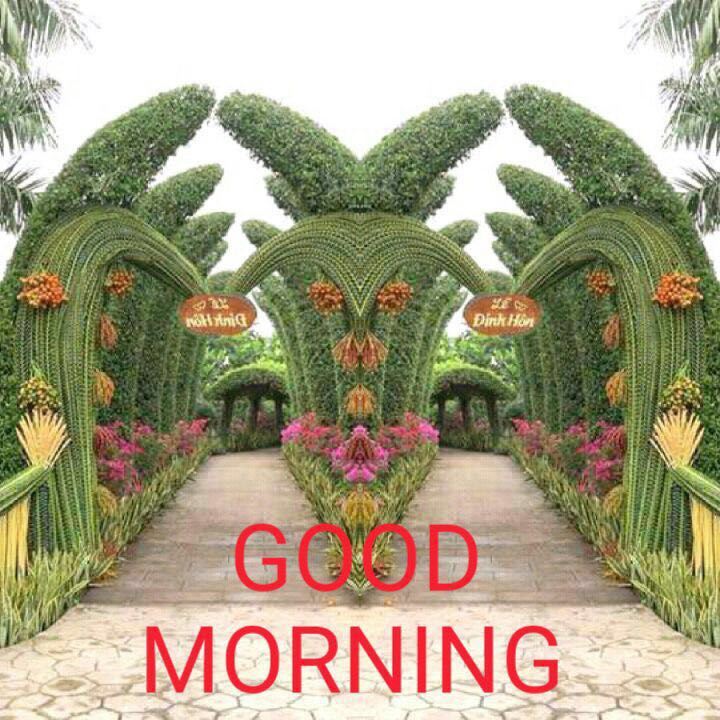 param_mumar tweet picture