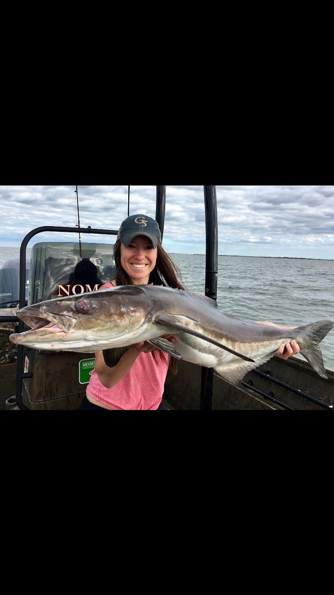 Cobia for dinner 😍