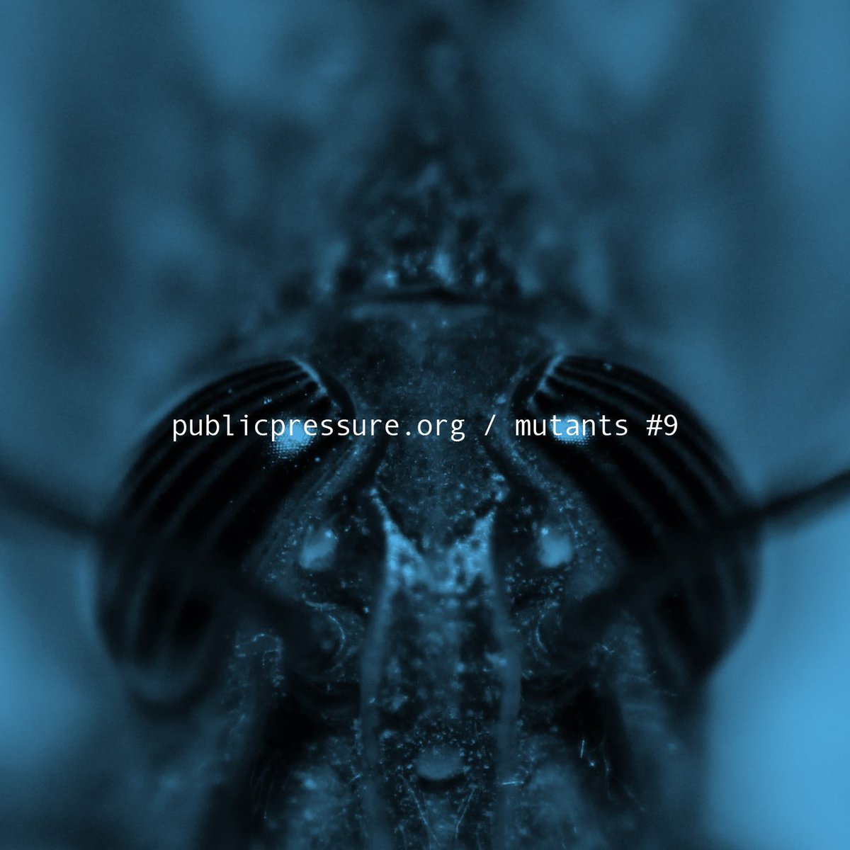 PUBLIC PRESSURE (@jointhepressure) on Twitter photo soundcloud #mutants playlist <a href="/xenomars/">xenomars</a> <a href="/densityofstate/">denial.of.service</a> <a href="/lesyeuxorange/">Les Yeux Orange</a> <a href="/LIES_News/">L.I.E.S.</a> <a href="/PhormixAthens/">Phormix</a> <a href="/Aughflair/">AUGHFLAIR</a> <a href="/VLT_PSN/">Violet Poison</a> ow.ly/18Bc30e5kp1 soundcloud #mutants playlist <a href="/xenomars/">xenomars</a> <a href="/densityofstate/">denial.of.service</a> <a href="/lesyeuxorange/">Les Yeux Orange</a> <a href="/LIES_News/">L.I.E.S.</a> <a href="/PhormixAthens/">Phormix</a> <a href="/Aughflair/">AUGHFLAIR</a> <a href="/VLT_PSN/">Violet Poison</a> ow.ly/18Bc30e5kp1