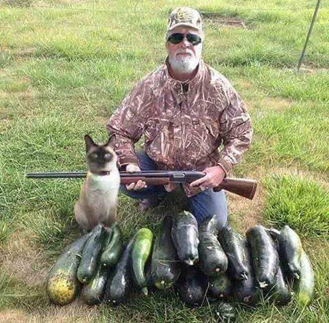 NYFarmer's tweet photo. Opening day of zucchini season out in rural areas (photo from a Facebook friend) https://t.co/JzjX0ku1SX