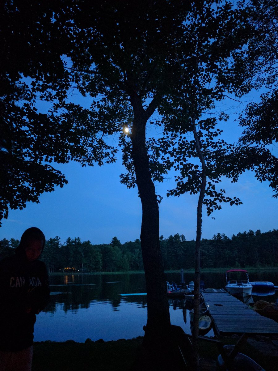 marcbellini's tweet photo. Goodnight moon.  #Muskoka https://t.co/ck7xJfQvJJ