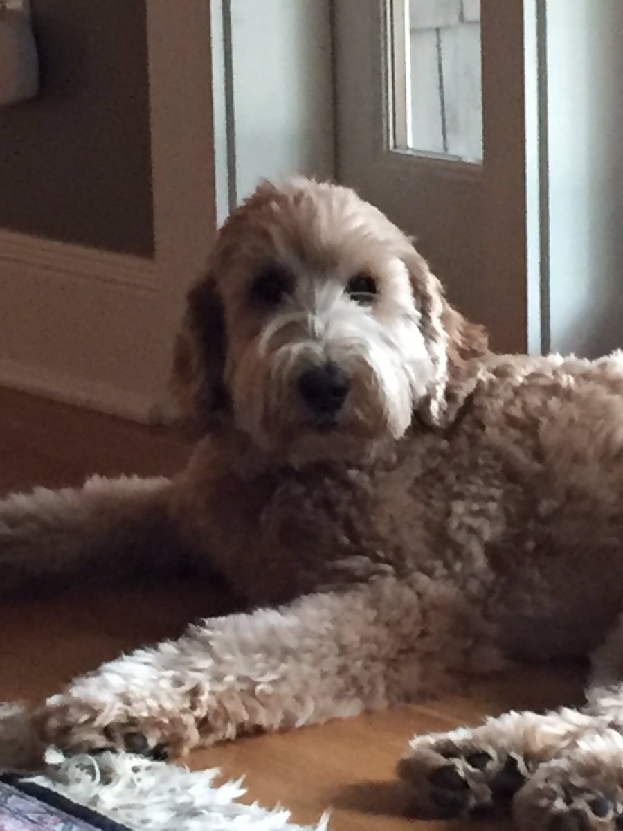 Lib_bme's tweet image. #whereiroot Bainbridge Island