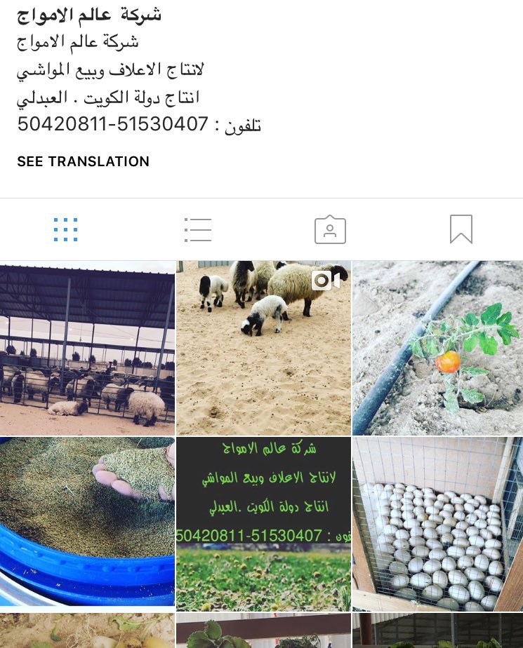 شركة عالم الامواج لتجارة الاعلاف والمواشي       العبدلي#بلوبنك#الكويت#غنم#نعيم#ام نقا#