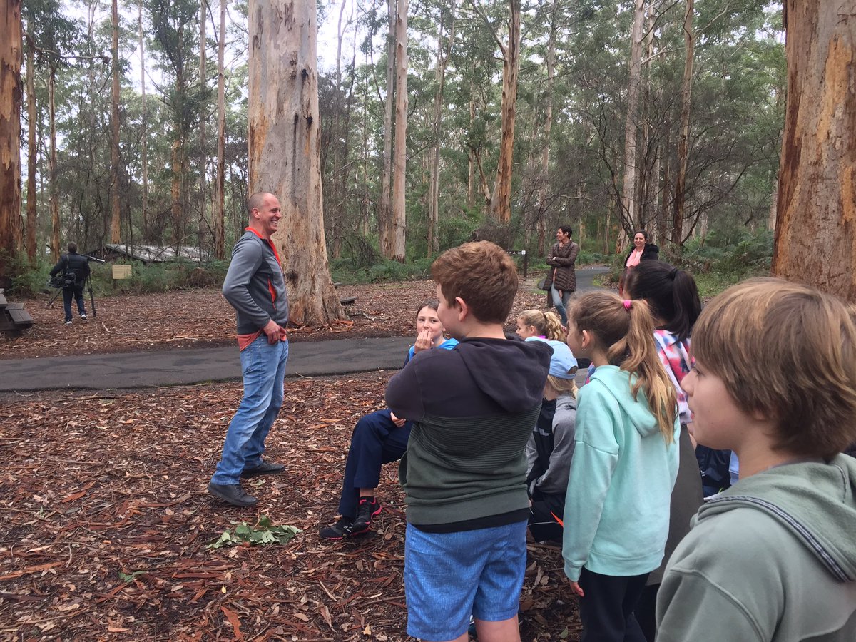PembertonVC's tweet image. Ed from Better Homes &amp;amp; Gardens filming at Gloucester Tree #visitpemberton #australiassw #southernforests #justanotherdayinwa #pembertonwa