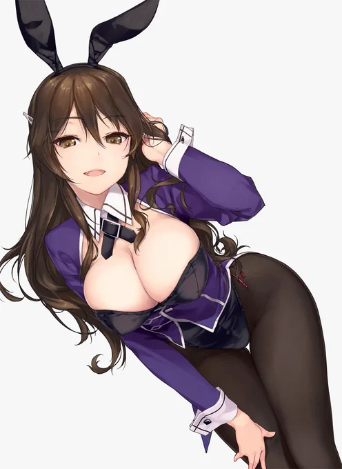 既出絵だけど
#バニーの日 
