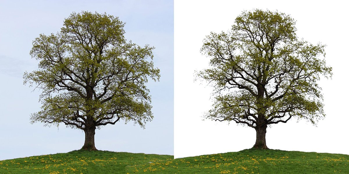 Photocutter's tweet image. #resize #cropping @BackgroundRemo #Removal
bit.ly/2vsBUpU