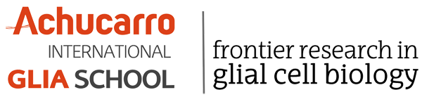 AchucarroGlia's tweet photo. Apply for one of the @ibroSecretariat Travel Grants, and come to our Achucarro #Glia School 2018 https://t.co/bLQLZhA5tT https://t.co/5uKpbbvsvj