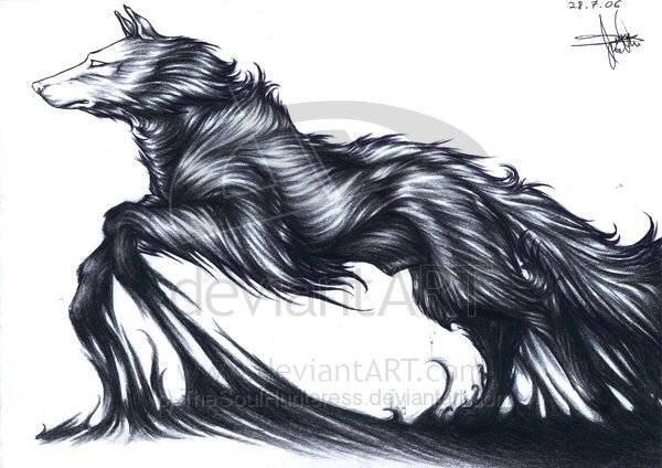 Wiki_Lobos's tweet image. 