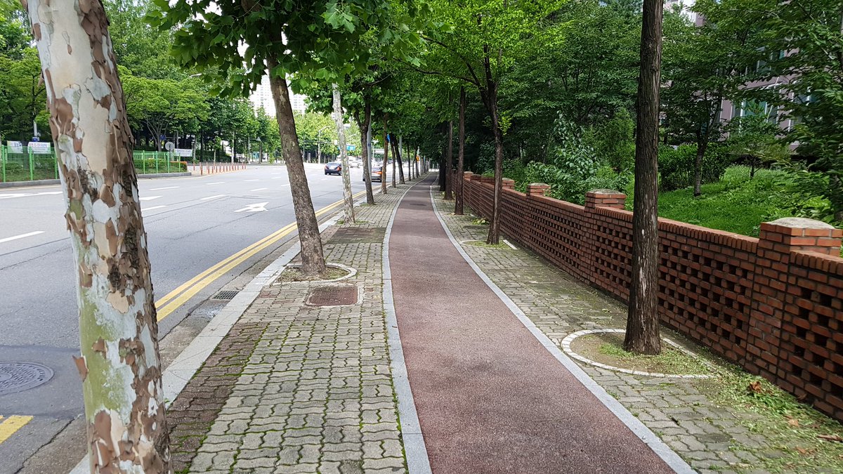 수내2동에서는 반복된  폭염과 장마로 무성하게 자란 잡초를 제거하고 있습니다.

예초기와 송풍기를 이용해 2인1조로 보행자와  차량의 안전에 유의하면서 진행하고 있습니다.

#성남시 #수내2동