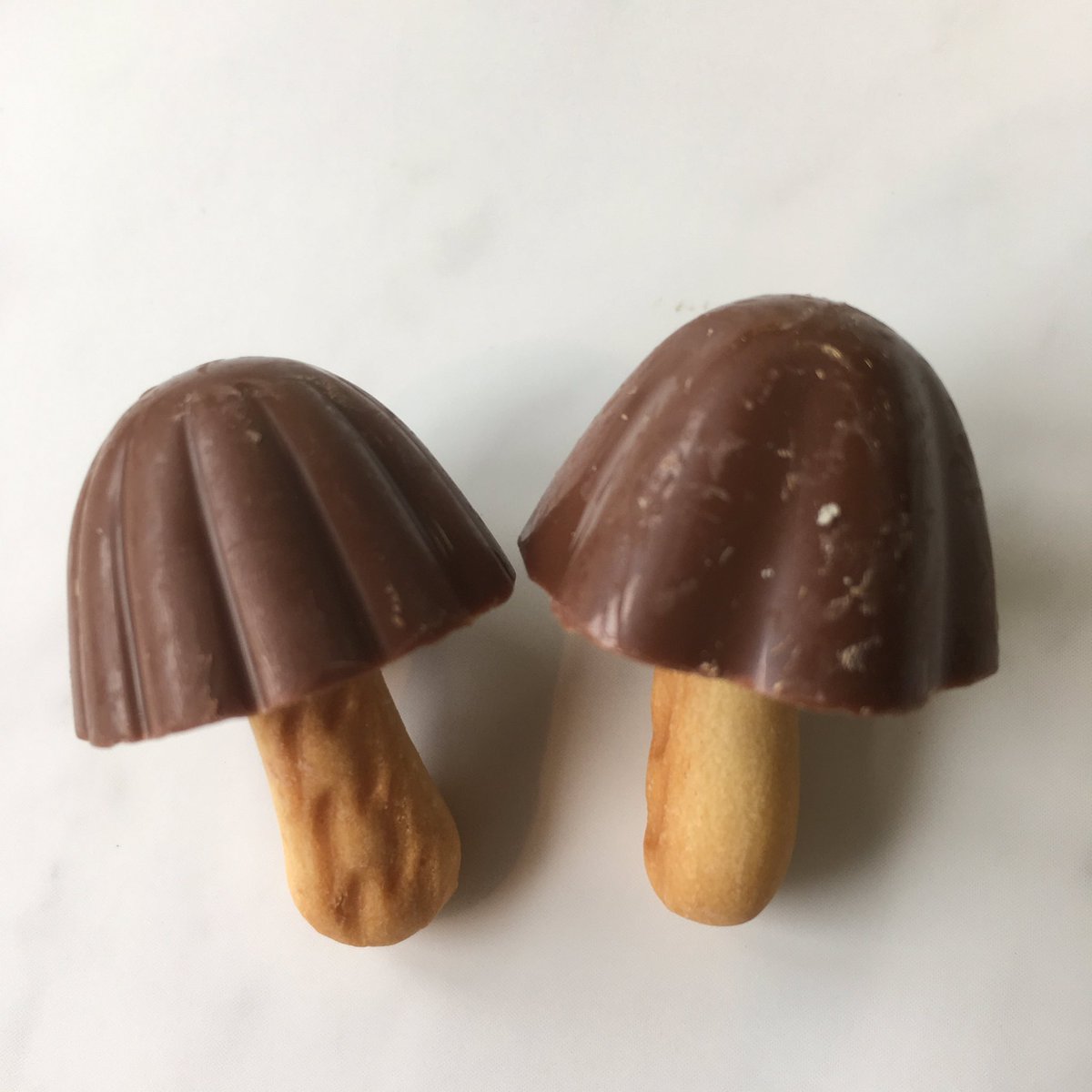 チョコレートくん 幸せきのこ 左 ノーマルきのこ 右 違いはチョコレートのしわの数 ノーマルきのこよりも多くのしわを持つことから幸運な しあわせきのこの山 の呼ばれています