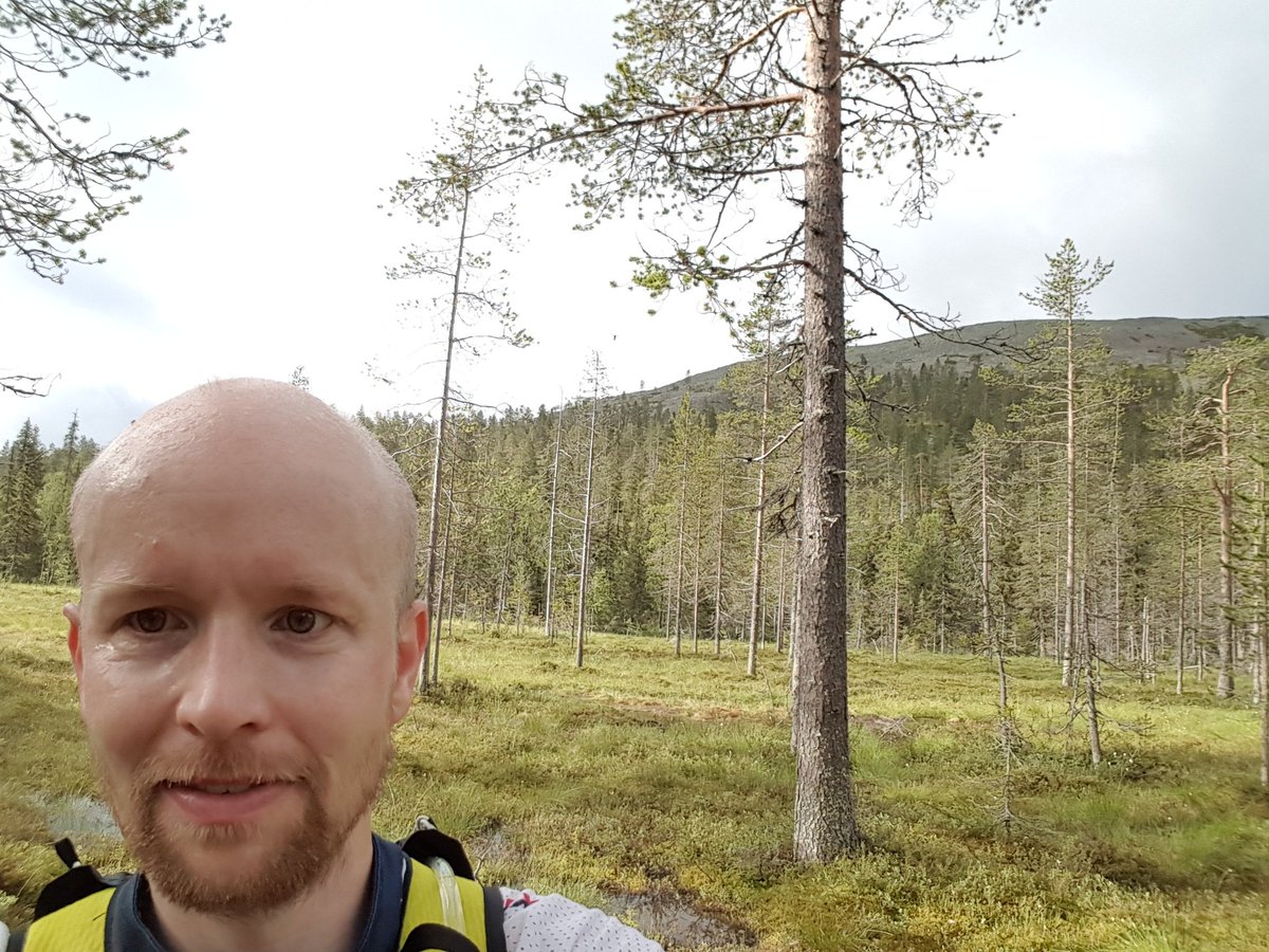 Aamulenkki Kesängin ympäri..