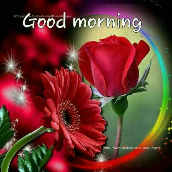 bjandare tweet picture