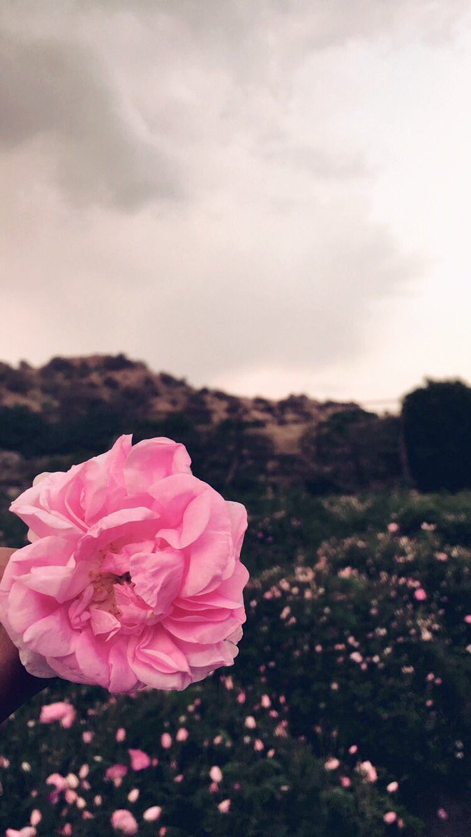 Mr_shaa3eer's tweet photo. شاعر .. ولا دور على قولة ( ونِعم )
يا كيف ابضمى ونعم وآنا قد رويت
بس يمكن أحتاج لشوية من الدعم. 
يوصل احساسي بلايك و رتويت (: https://t.co/ys572dMdQy