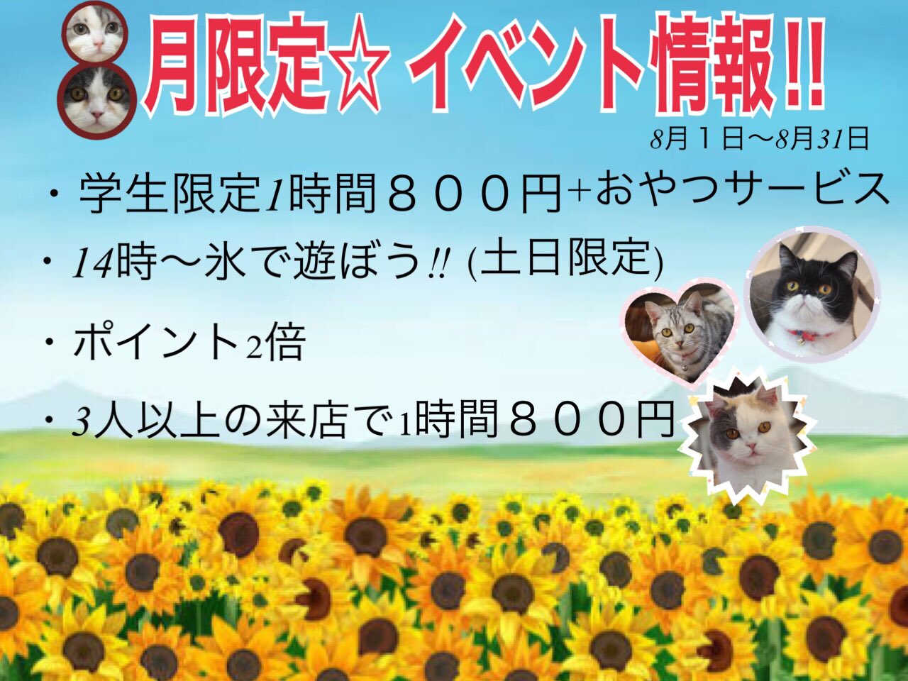 Onlyワン 加須店 猫カフェ Onlyonekazo Twitter