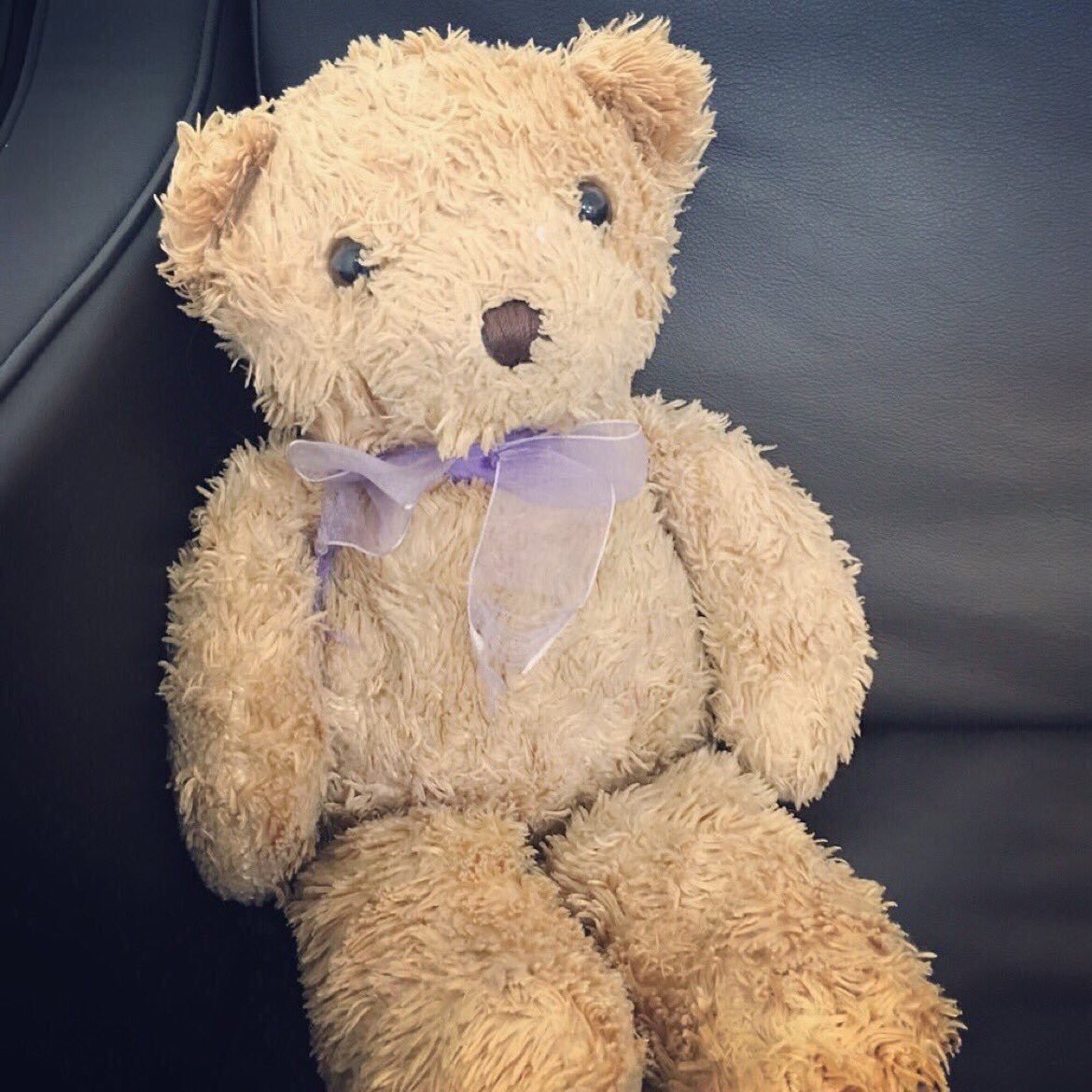 TheInuring's tweet photo. The #teddybear of #Aleisha resting in the green room between takes #supportindiefilm #filmmaking https://t.co/QaCXnDDv2G