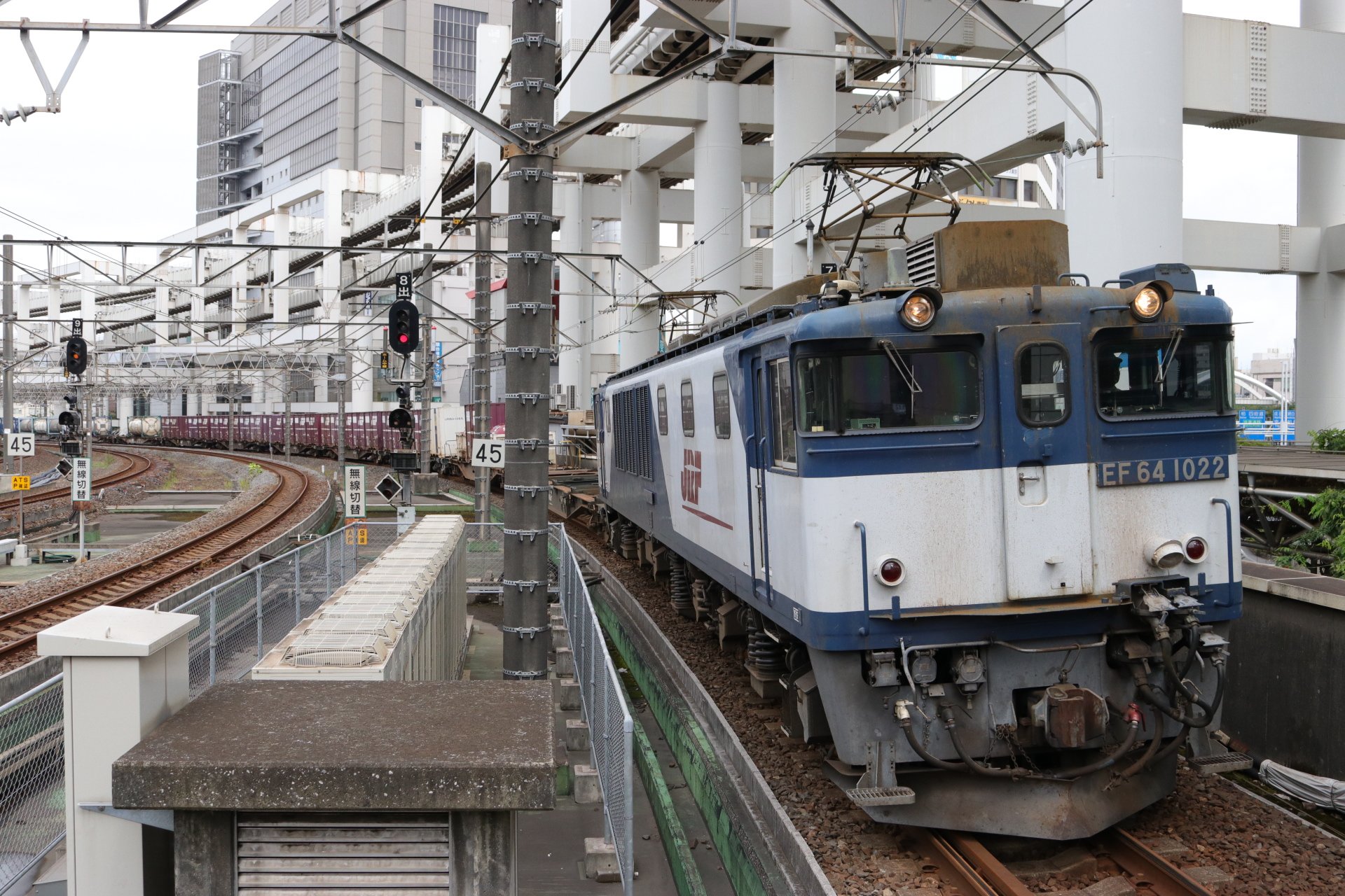 Z97 大富豪の金運が乗り移る獅子の置物 野太い