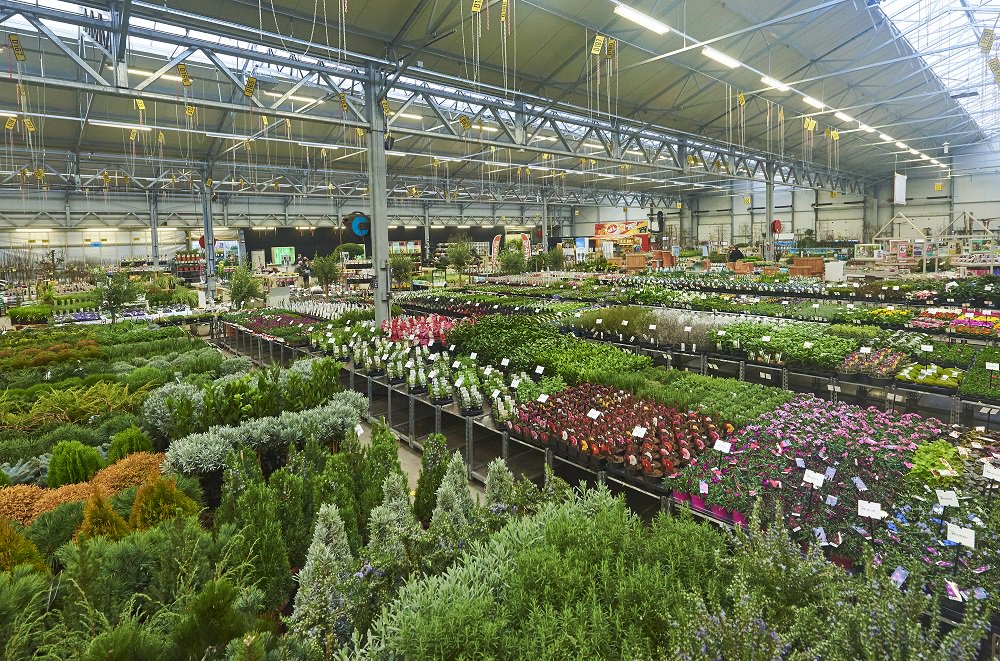 16/17 augustus: Najaarsbeurs Arie Bouman Tuinplanten! Jij komt toch ook? Aanmelden kan via arieboumantuinplanten.nl/agenda.