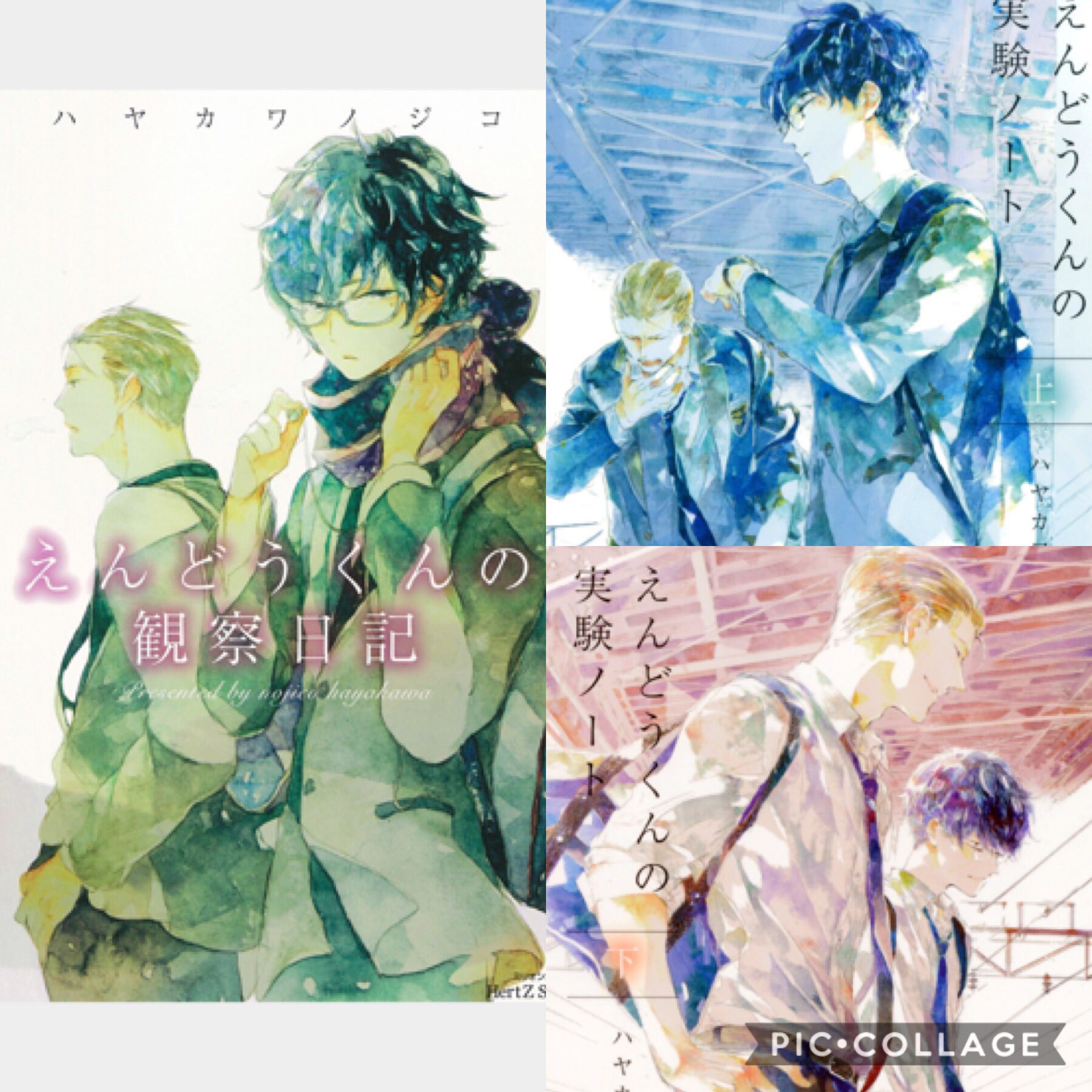 えんどうくんの観察日記 - Search / X