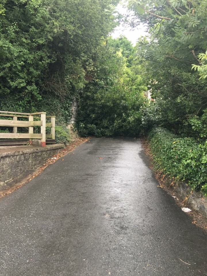 The road down to the <a href="/gazelleanglesey/">The Gazelle Anglesey</a> is currently blocked #anglesey