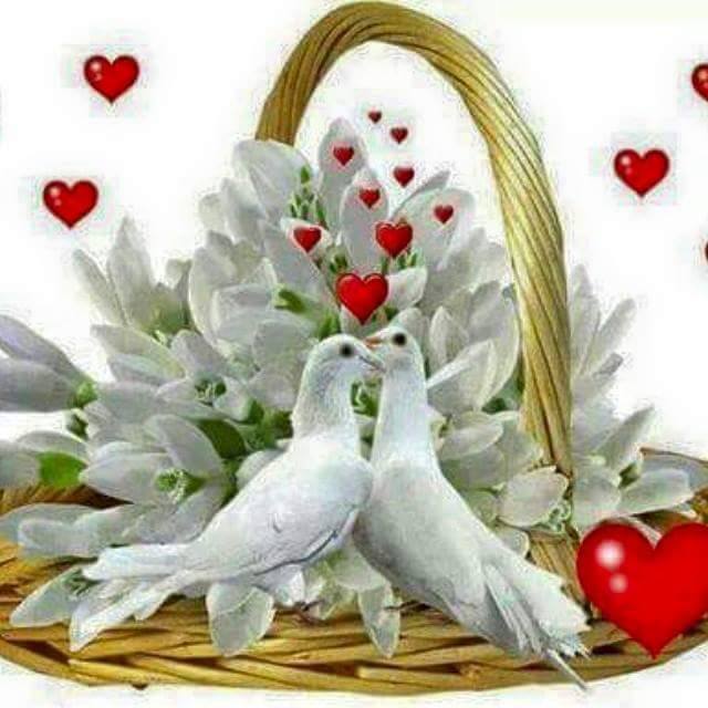 bajpai om tweet media