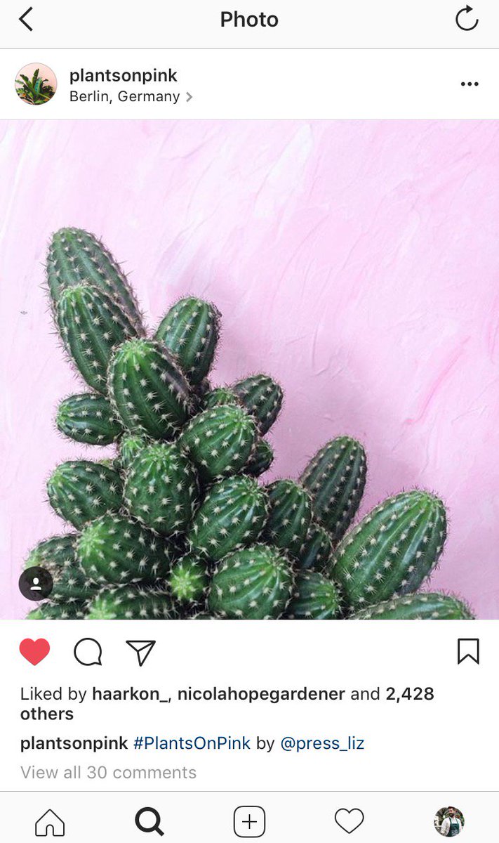 mr_plantgeek's tweet photo. Here are the 5 most exciting Instagram accounts for plant-lovers! Go give them a follow... https://t.co/yK1TzNNRnU https://t.co/lXMJv5LHB3