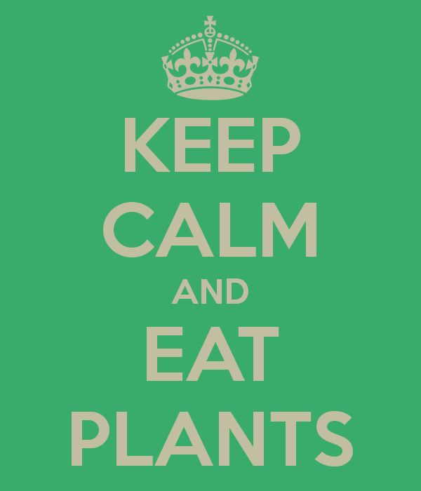 Vegetarian Express tweet media