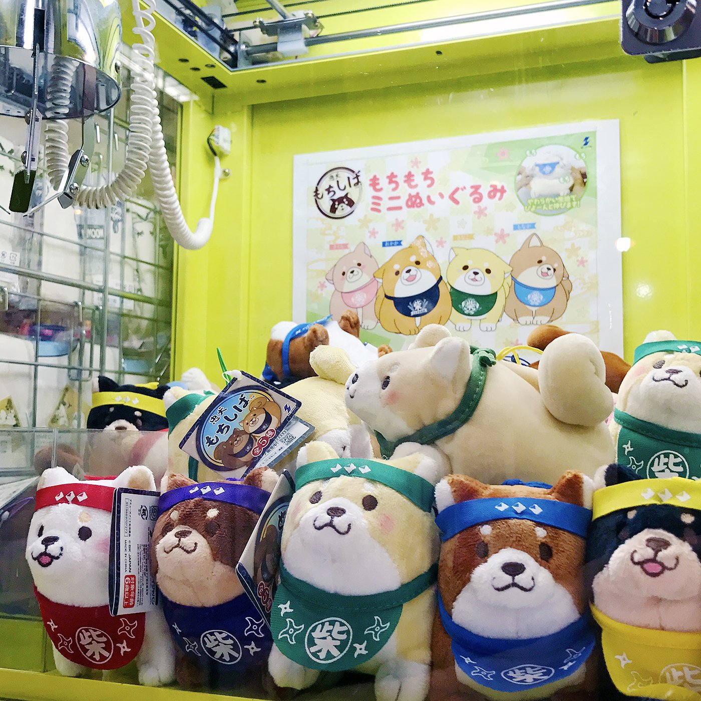 ヤマシロヤ 公式 時短営業中 忠犬もちしば のクレーンゲーム はじめました 忠犬もちしば もちもちミニぬいぐるみ 忍者マスコット １回100円 ぜんぶ集めたくなるぅ ヤマシロヤ地階売場 03 31 2415 忠犬もちしば T Co