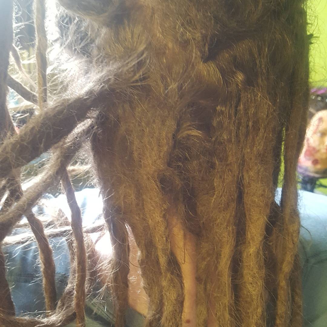 dawnofthedreads's tweet photo. Tidy up on beets dreads. They were pretty matted at the roots. #dreadmaintenance #dreadtidy #dreadlocks #dreads #loctician #hairstylist https://t.co/zol8Erke4z