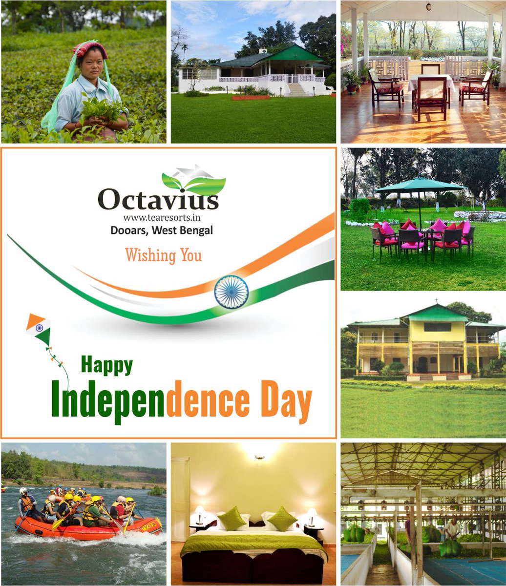 tearesorts's tweet photo. Octavius Tea Resorts Team Wishes You Happy Independence Day https://t.co/XuO76DWubb